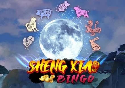 Sheng Xiao Bingo